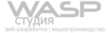 wasp studio